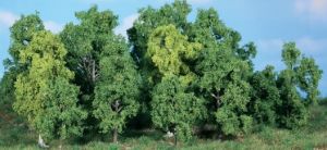 HEK1992 - 14 Alberi a foglie caduche 5-12 cm