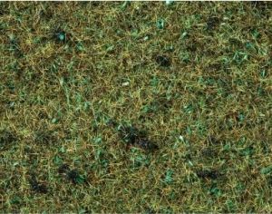 NOC08350 - Erba forestale - 2;5 mm - 20 g