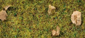 NOC08360 - Erba di montagna - 2;5 mm - 20 g