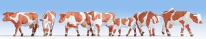 NOC15726 - Mucca Montbeliard