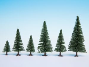 NOC26821 - Lotto di 50 alberi di altezza da 5 a 14 cm