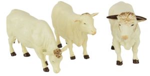 BRI43240 - 3 mucche Charolais