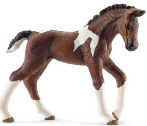 SHL13758 - Puledro Trakehnen