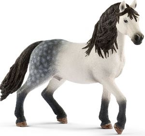 SHL13821 - stallone andaluso