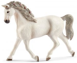 SHL13858 - Cavalla Holstein