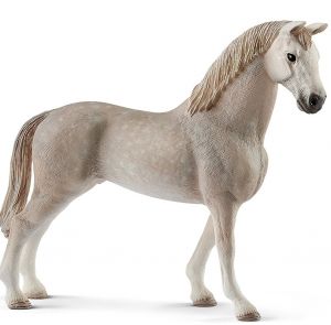 SHL13859 - Castrone Holstein