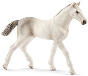 SHL13860 - Puledro Holstein