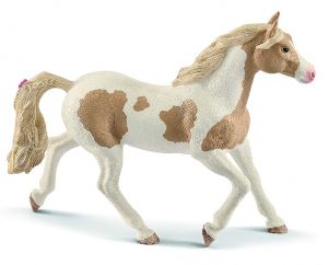 SHL13884 - cavalla vernice Cavallo