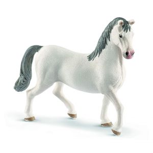 SHL13887 - Stallone lipizzano