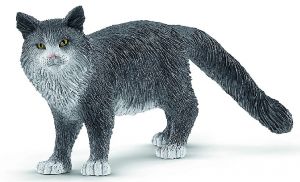 SHL13893 - Gatto Maine Coon