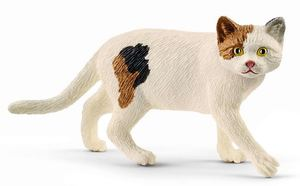 SHL13894 - Gatto a pelo corto americano