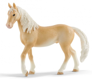 SHL13911 - stallone akhal-teke