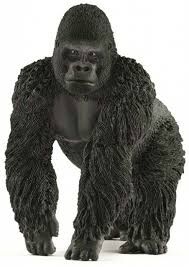 SHL14770 - Gorilla maschio