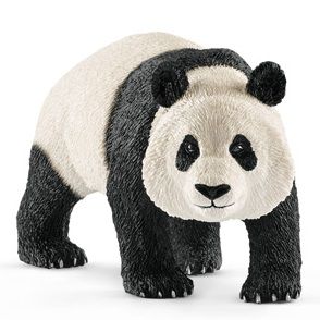SHL14772 - Panda gigante maschio