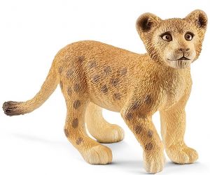 SHL14813 - cucciolo di leone