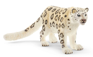 SHL14838 - Leopardo delle nevi
