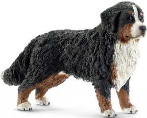 SHL16397 - Cane da montagna bernese femmina