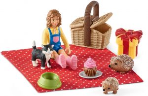 SHL42426 - picnic di compleanno