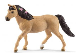 SHL13863 - Pony Connemara femmina