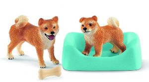 SHL42479 - Shiba Inu madre e cucciolo