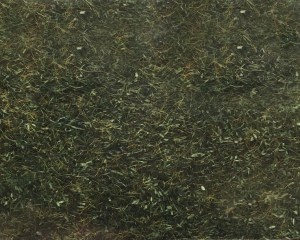 NOC08350 - Erba forestale - 2;5 mm - 20 g