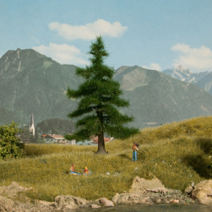 NOC21810 - Albero Nordmann 12 cm