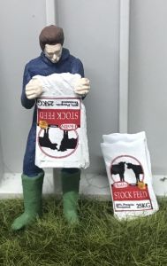 WM078G - Contadino che svuota un sacco di mangime per mucche