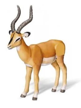 RAV0367 - TIPTOI Antilope