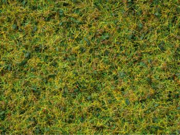 NOC07077 - Vaso di miscela per floccaggio verde 100 g da 2;5 a 6 mm