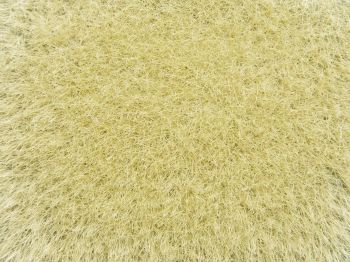 NOC07119 - Erbe selvatiche; giallo 9mm 50g