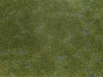 NOC07252 - Fogliame vegetale; verde scuro 12x18 cm