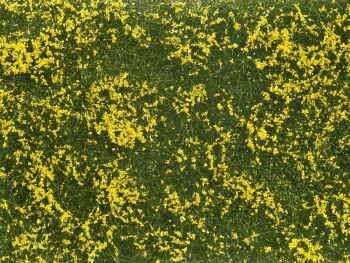 NOC07255 - Fogliame vegetale; Prato giallo 12x18 cm