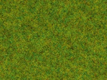 NOC08200 - Erbe dei prati primaverili - 1;5 mm - 20 g