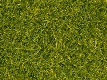 NOC08363 - Erbe verde chiaro - 4mm - 20g