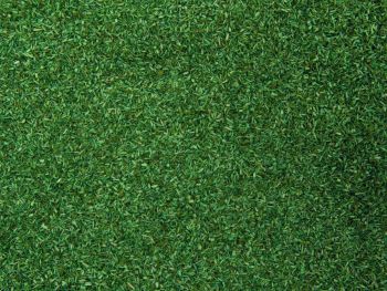 NOC08372 - Materiale floccaggio verde medio - 200 g