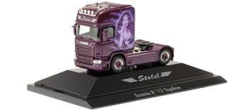 HER111102 - SCANIA R 13 TL 4x2 trasporto STELZL