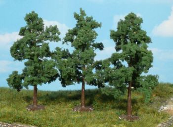 HEK1164 - 4 Alberi da frutto 8-12 cm