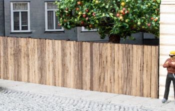 NOC14213 - Parete di assi - 37,2 x 2,4 cm