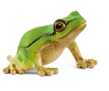 SHL14882 - Raganella Verde