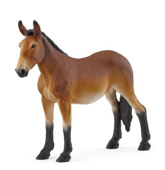 SHL14889 - Mulo