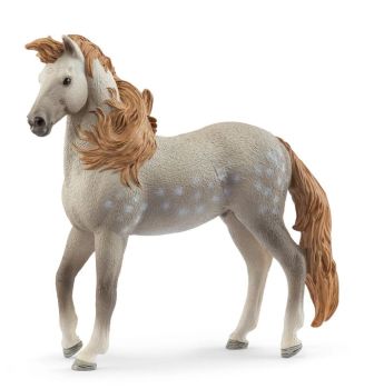 SHL14895 - Stallone Andaluso