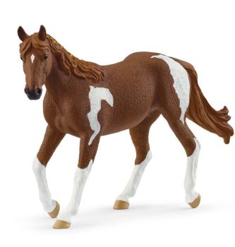 SHL14901 - Cavalla Paint Horse