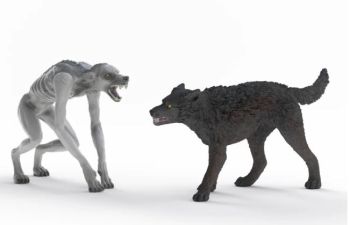 SHL14906 - Lupo Mannaro contro Animagus