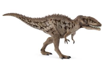 SHL15048 - Carcharodontosauro