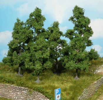 HEK1931 - 4 Alberi da frutto 9-11 cm