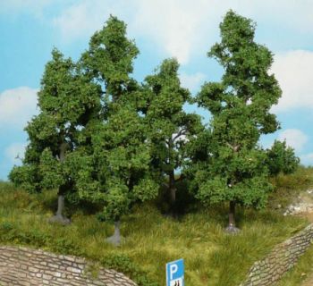 HEK1932 - 5 Alberi da frutto 5-8 cm