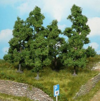 HEK1933 - 5 Alberi da frutto 5 cm
