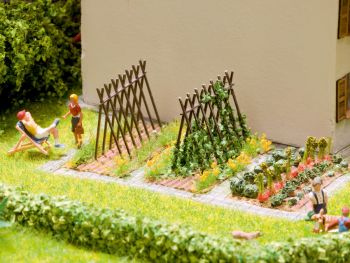 NOC14200 - Alesatori di fagioli