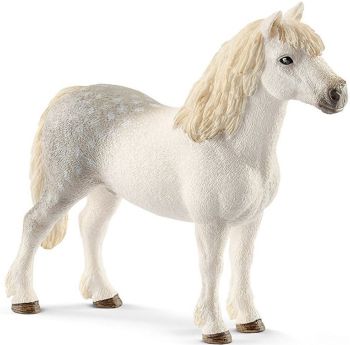 SHL13871 - Pony gallese maschio