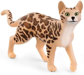 SHL13918 - gatto bengala